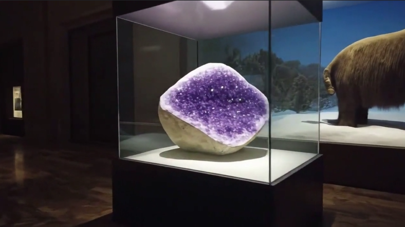 Real-time Interaction Response